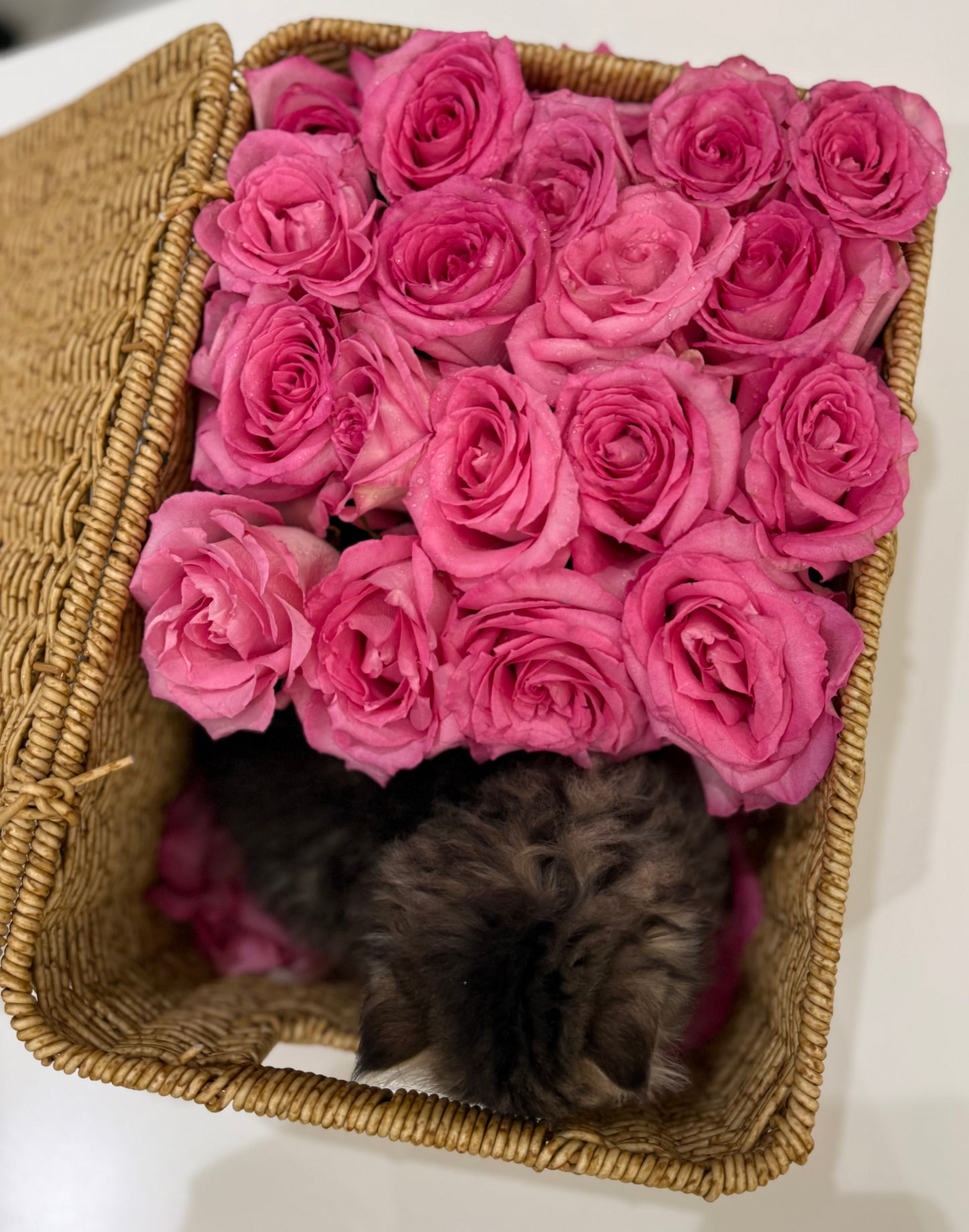 Gift Box only ( without roses )