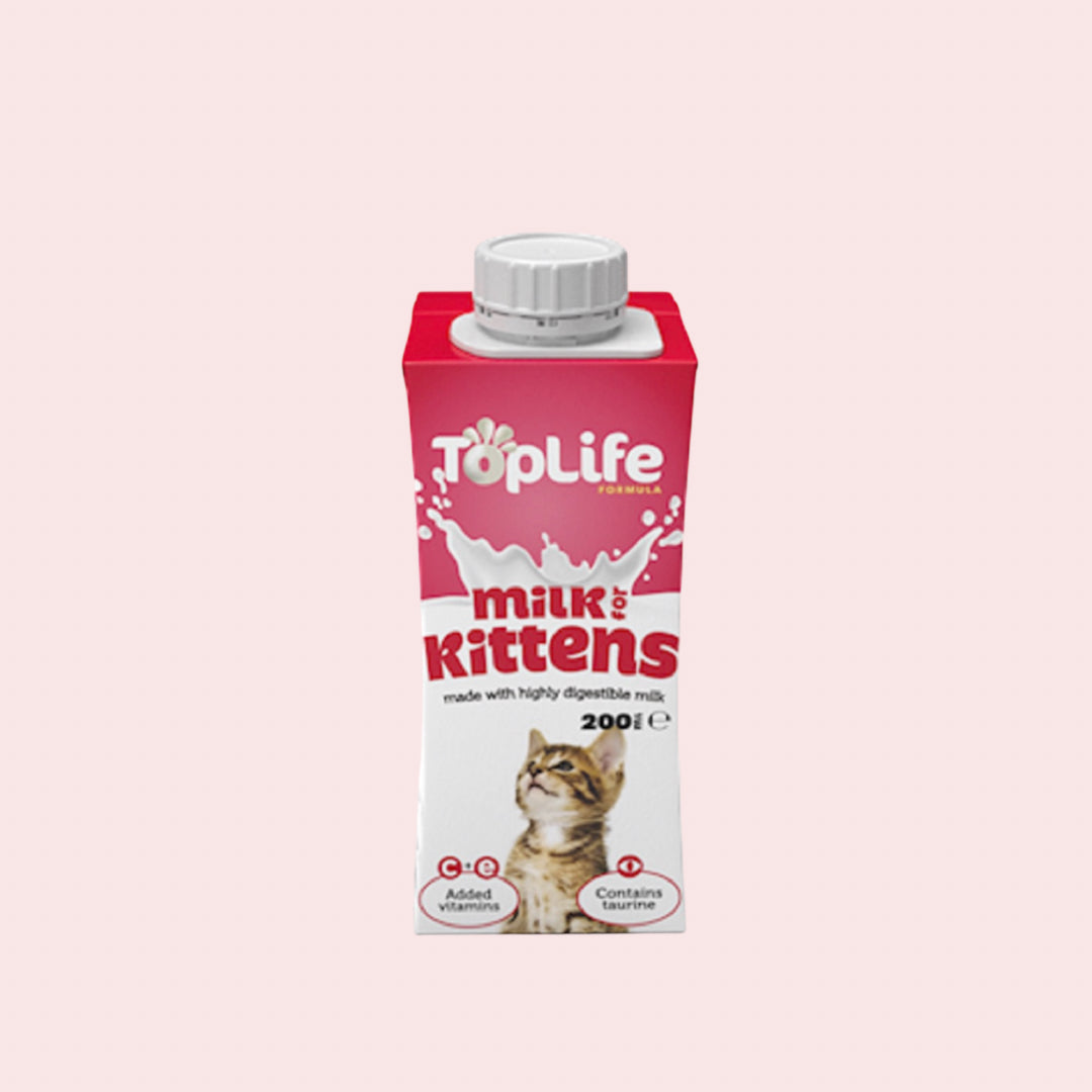Kitten Milk