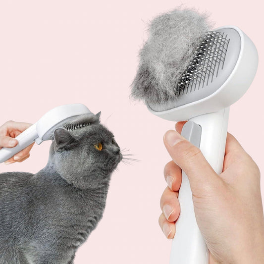Pet Grooming Brush