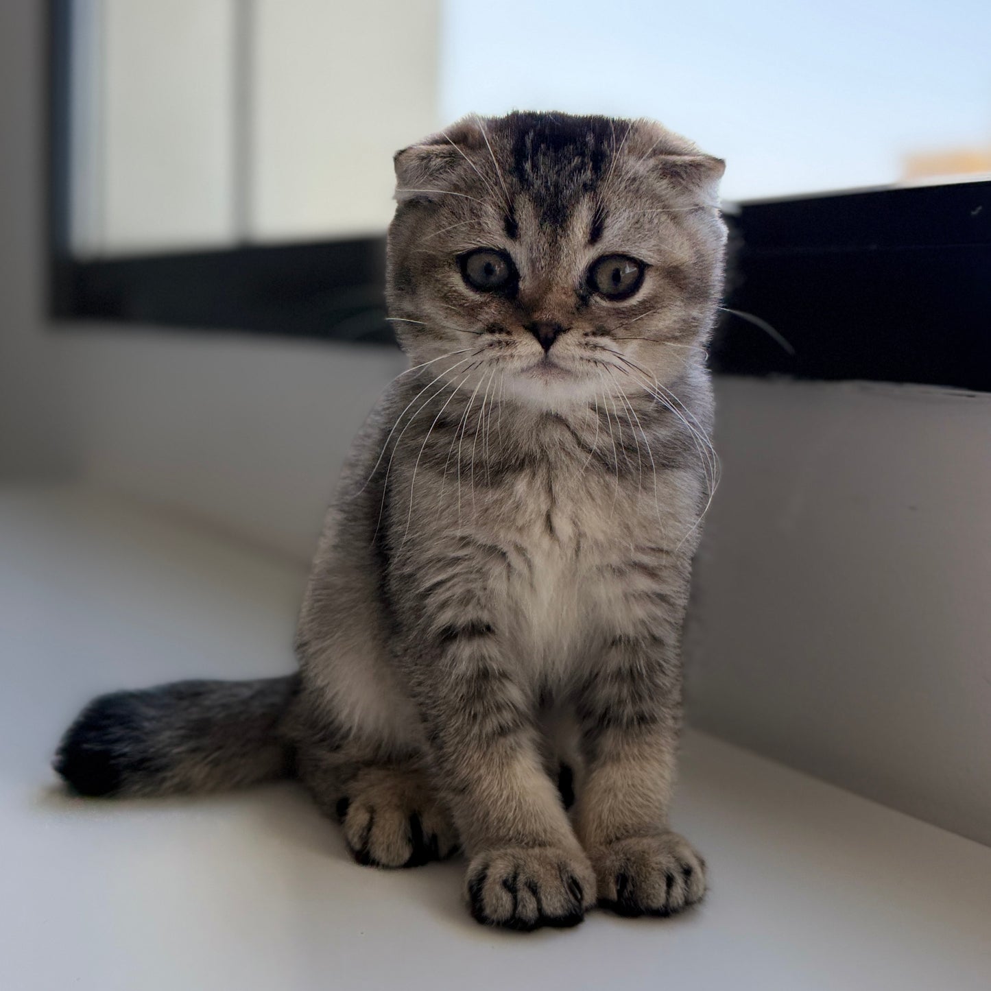 Winnie