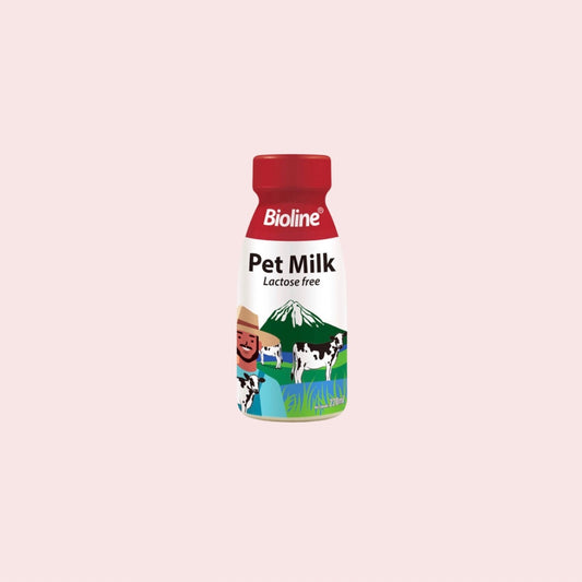 Kitten Milk lactose free