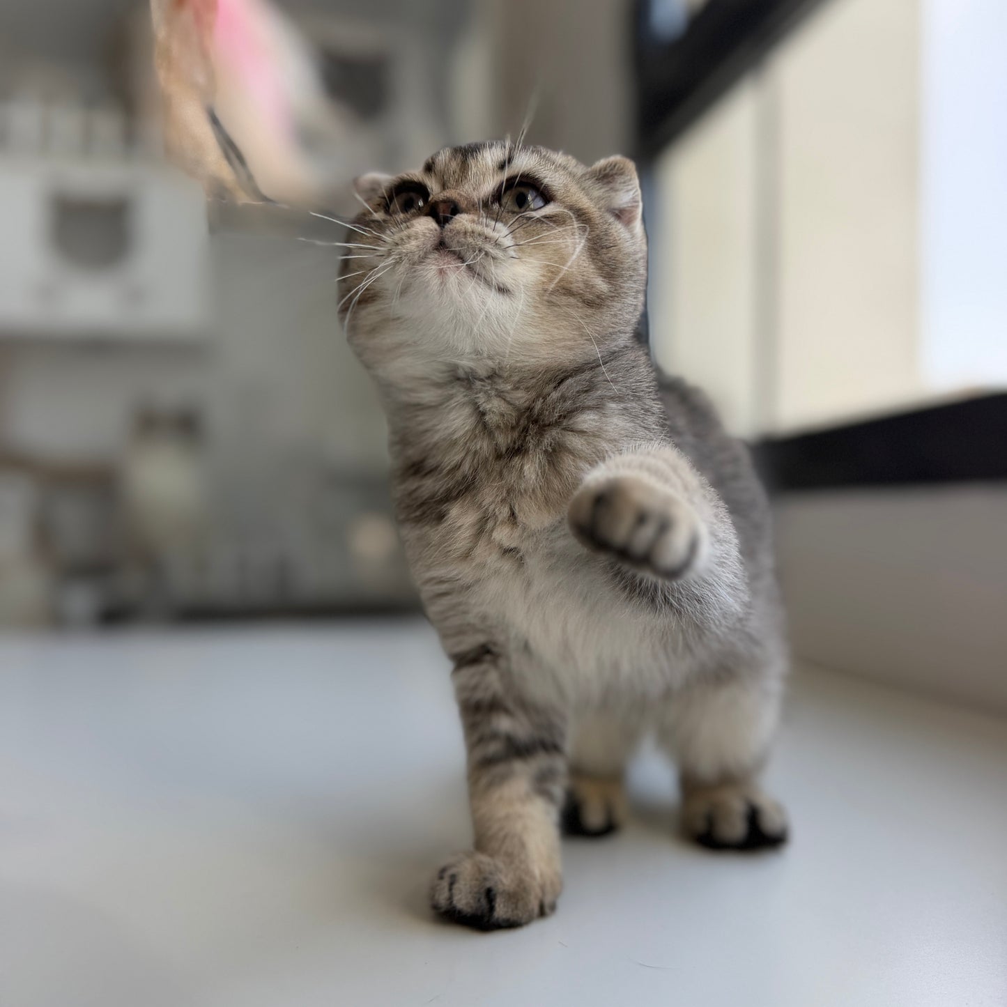 Winnie