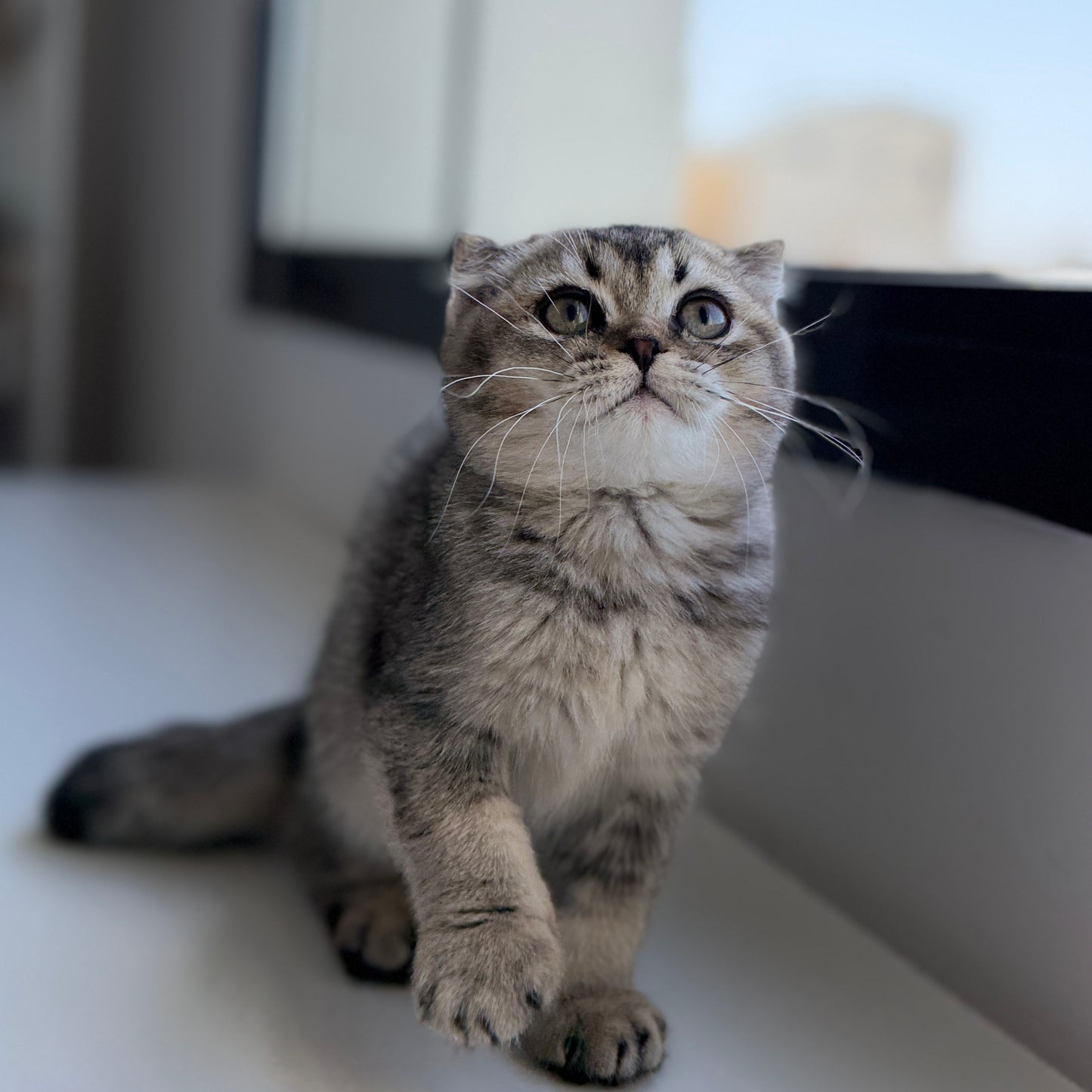 Winnie