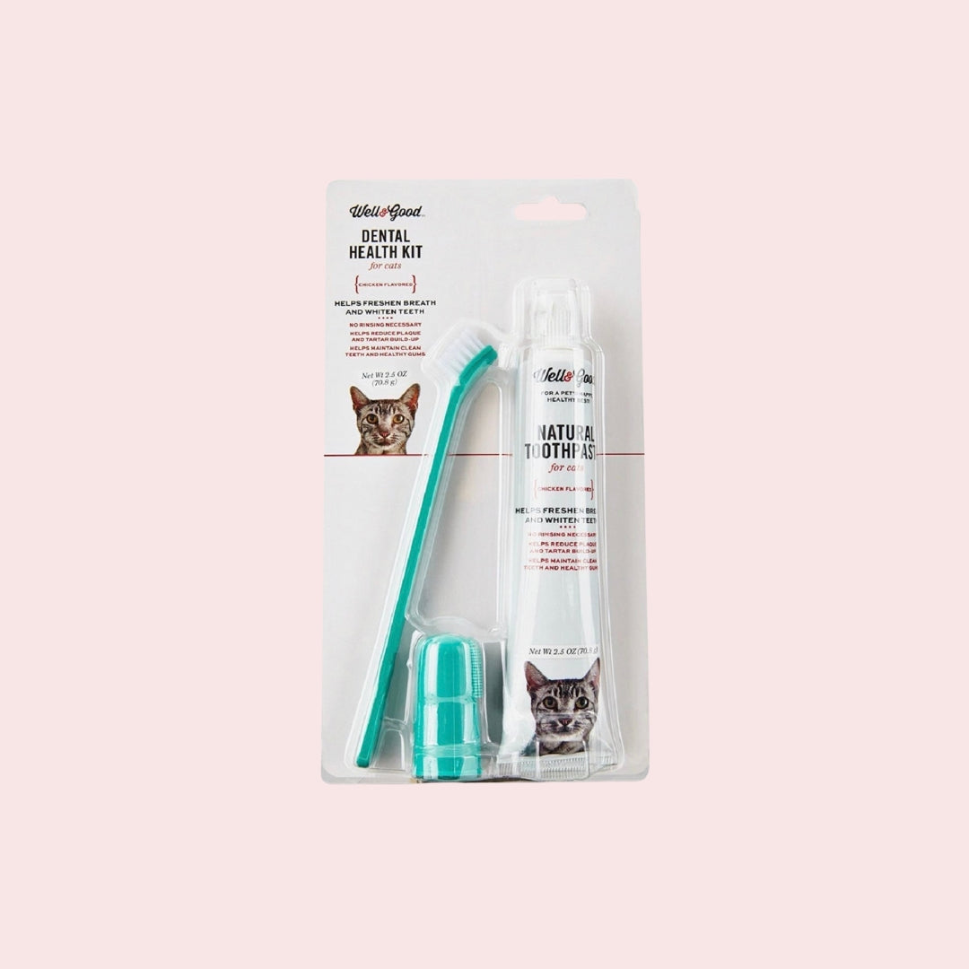 Dental Care