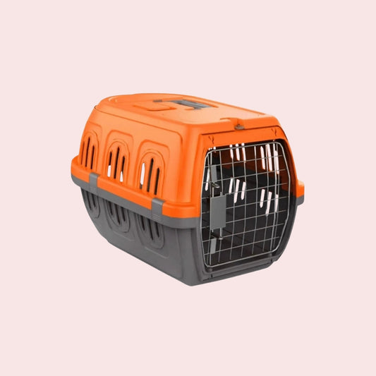 Carrier Box (Random)